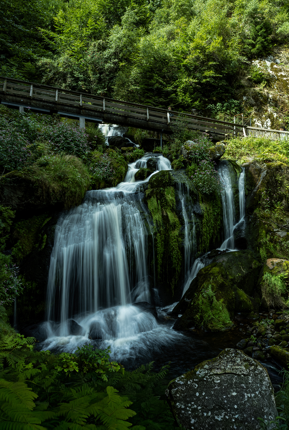 04_17_Søren Kirkegaard_Naturfænomen