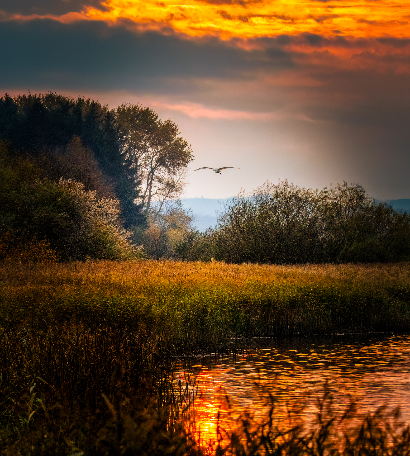 07_14_Linda Weng_Sunset ved Aarslev Engsoe