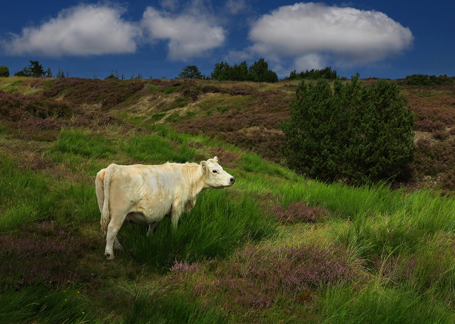 23_14_Jørgen Werner Jensen_Vrads