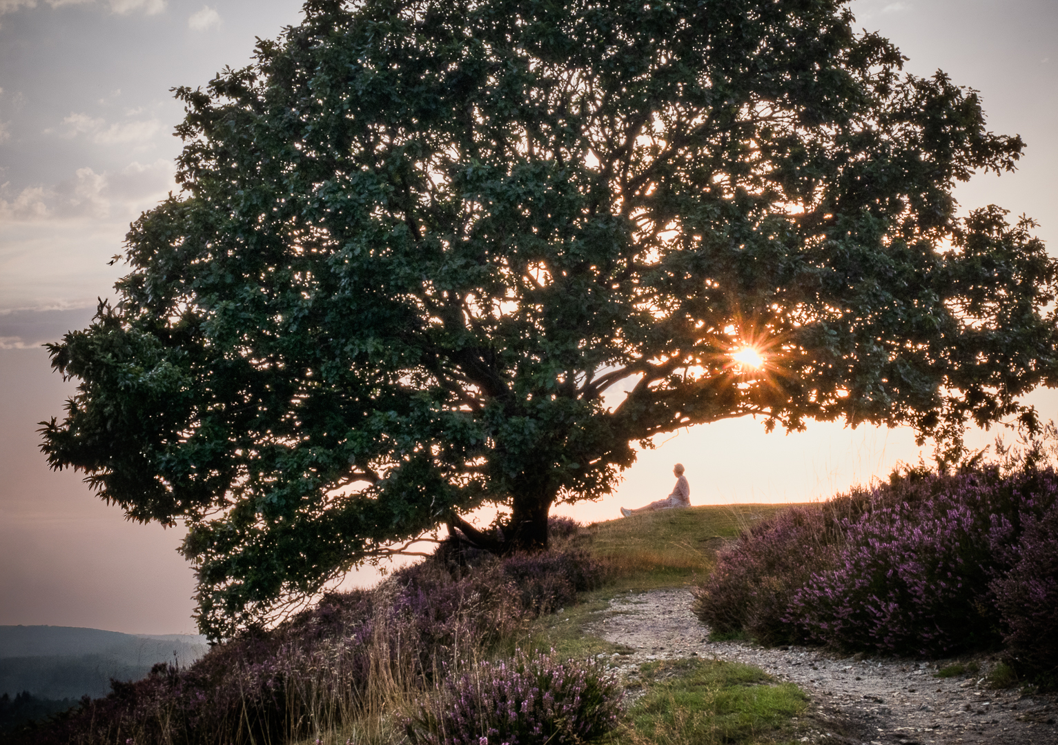 Enjoying the silence