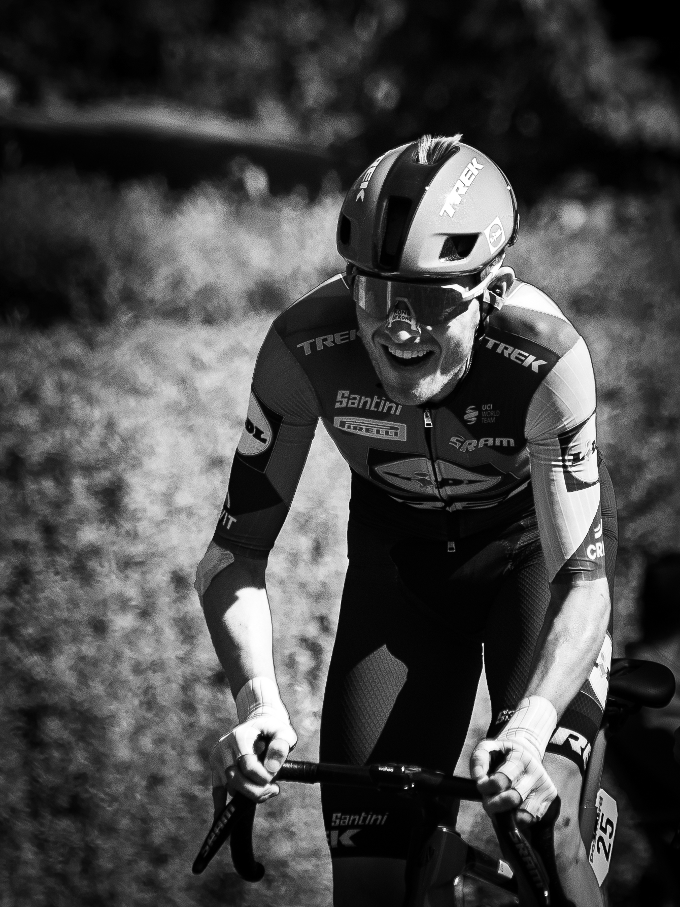 29_11_Benny Stæhr_Skjeldmose i angreb