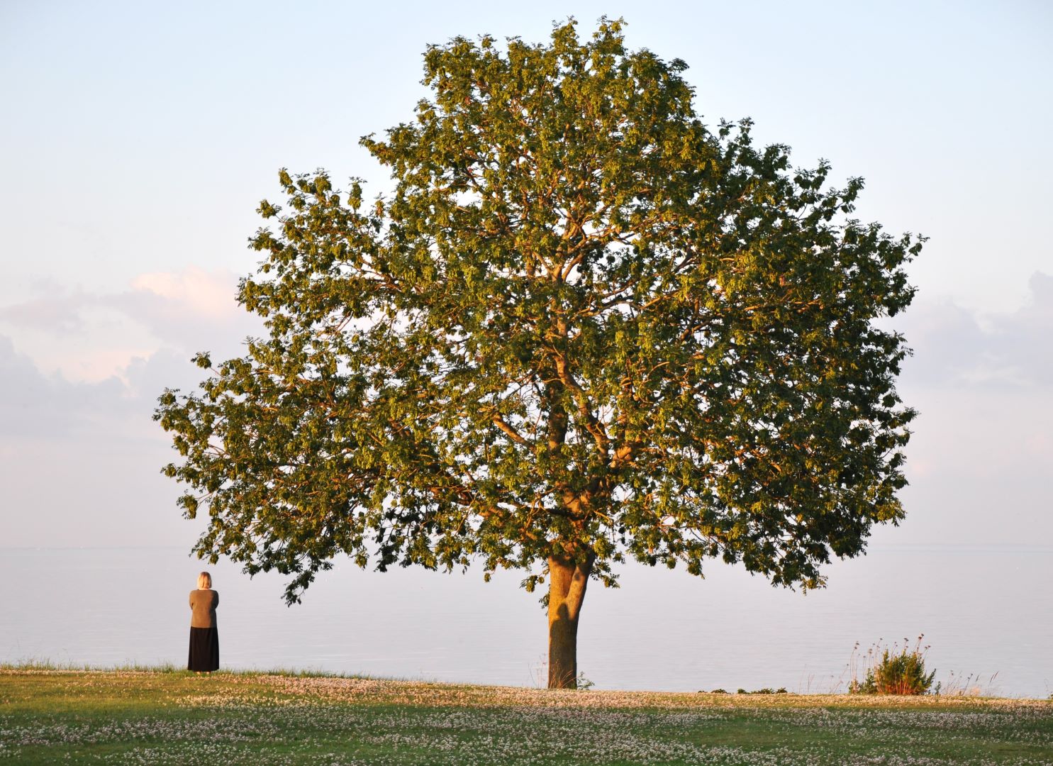 32_12_Bjarne Meldgaard_Kvinde og skygge