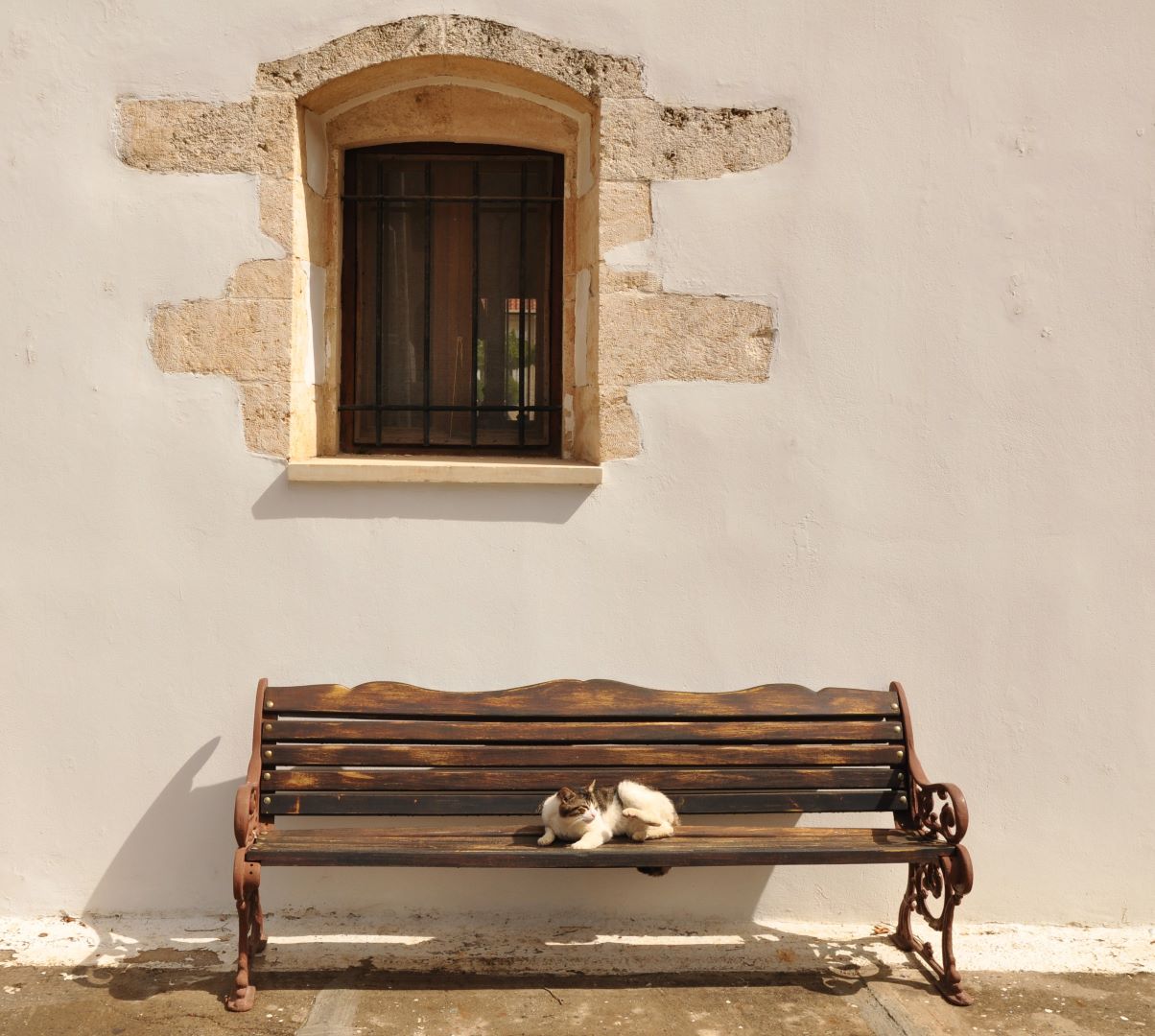34_12_Bjarne Meldgaard_Kat og Kirke