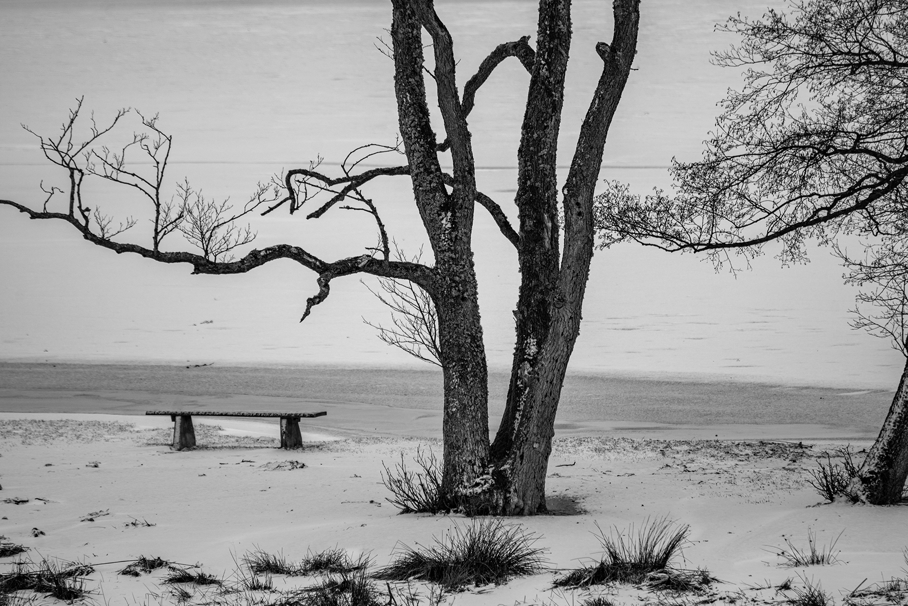 38_07_Søren Kirkegaard_Is kold bænk