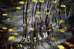 34_Kjeld-Agerskov_Rushes
