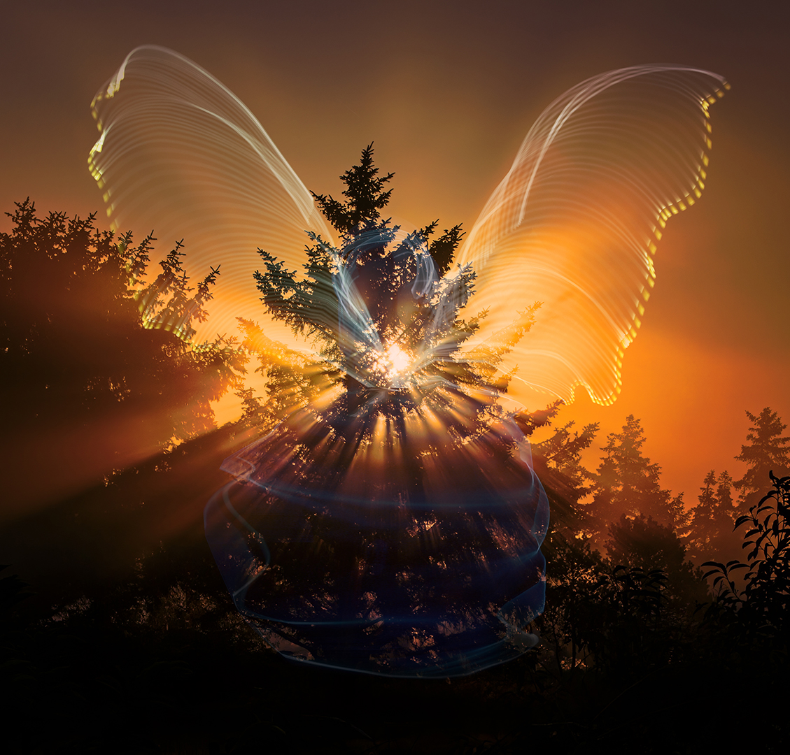 07_F_ Linda Weng_Lysengel