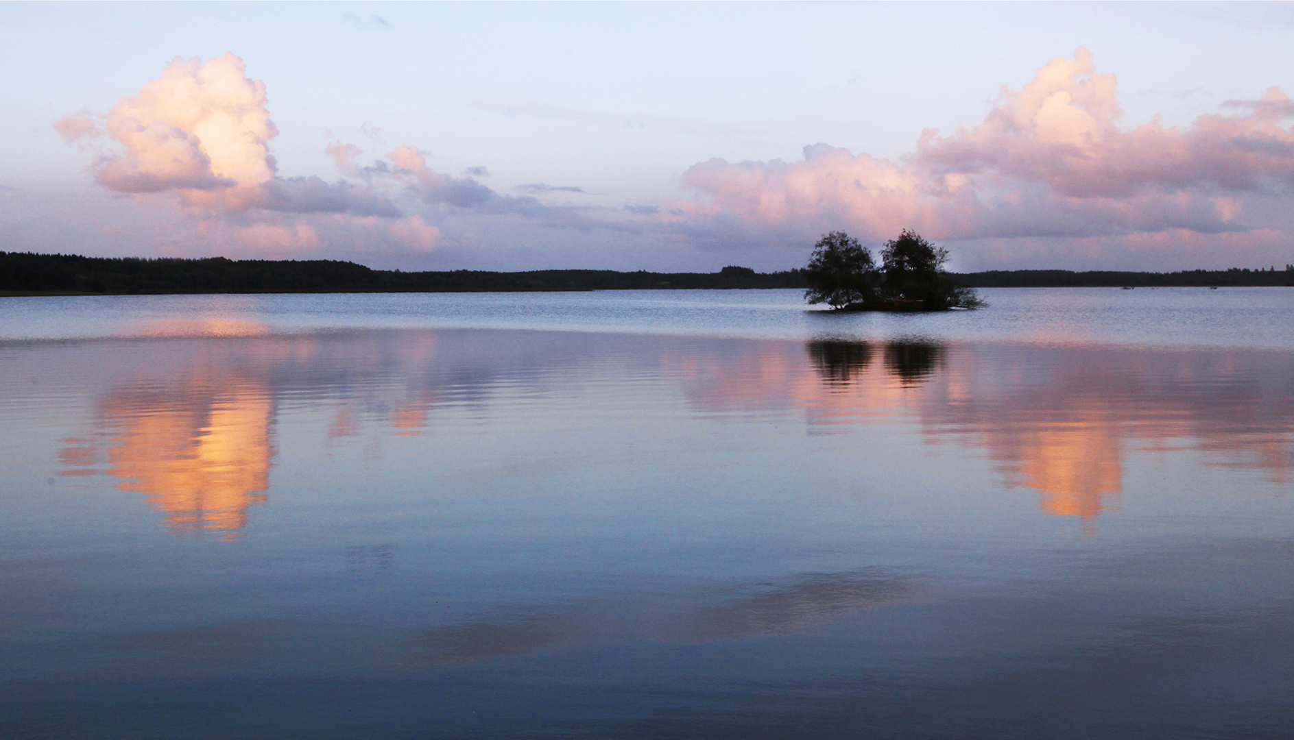 19_F_Jørgen Werner Jensen_Bollingsø genskin