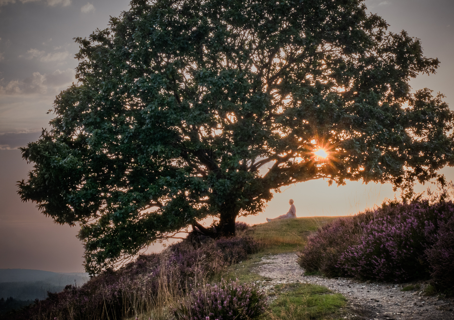 Enjoying the silence