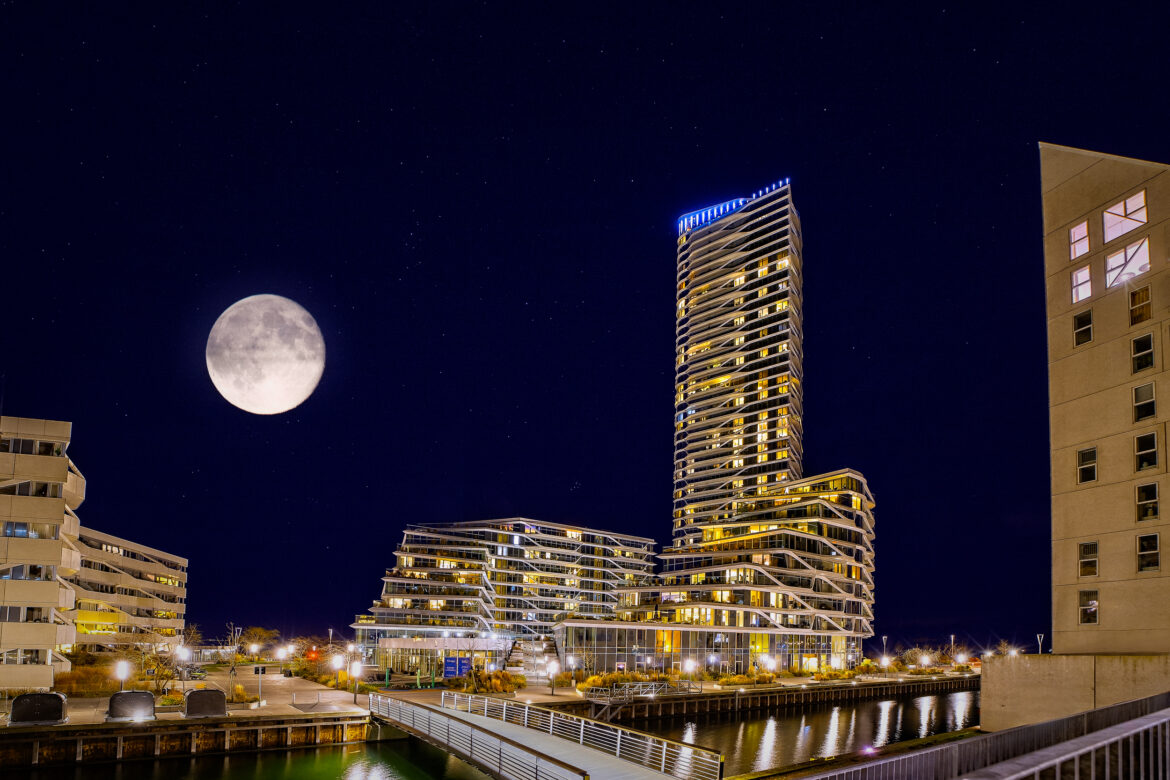 Månedens Billede december  2025