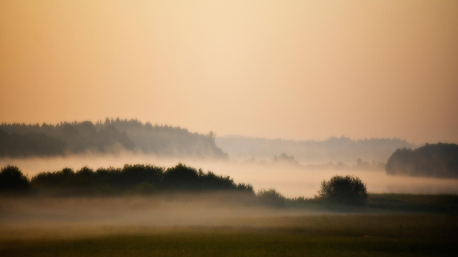 14_F_Kjeld Agerskov_Tange lake