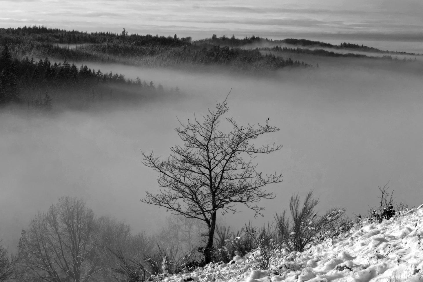 DSC07149_2