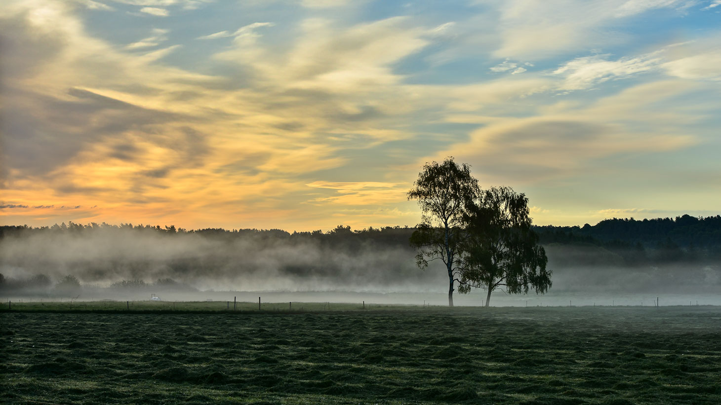 13_F_Kjeld Agerskov_Misty morning